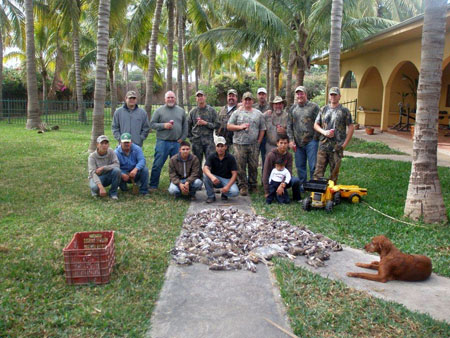 Dove Hunting in Mexico