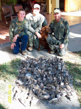 Creating a dove hunting park!