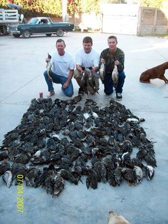 Creating a dove hunting park!