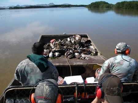 This is THE BEST DUCK MARSH in all of Mexico and maybe the world all 25,000 acres waiting for you!
