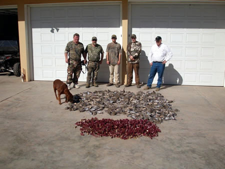 This father and son hunt, and a couple of other hunters from Iowa, had a nice morning dove hunt