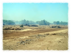 The making of a another dove field. 