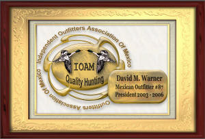Independent Outfitters Association of Mexico sEAL